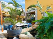 Casa chalet en Venta en Lloret Verd Els Pinars