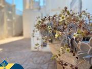 Casa chalet en Venta en Los Balcones Los Altos