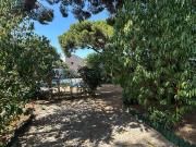 Casa chalet en Venta en Los Pinos