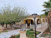 Casa chalet en Venta en Monforte del Cid