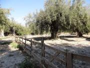 Casa chalet en Venta en Moratalla