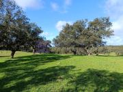 Casa chalet en Venta en Navalmoral de la Mata