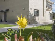 Casa chalet en Venta en Palau