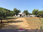 Casa chalet en Venta en Parque Atlántico Ronda este