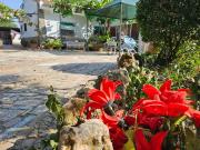 Casa chalet en Venta en Pedanías Extrarradio