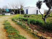 Casa chalet en Venta en Pedanías Norte