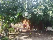 Casa chalet en Venta en Platja de Mont roig