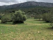 Casa chalet en Venta en Pollença Poble