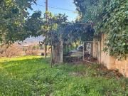 Casa chalet en Venta en Santa Rosa