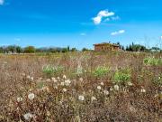 Casa chalet en Venta en Sencelles