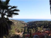 Casa chalet en Venta en Serra Brava