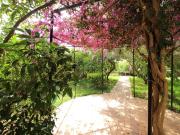 Casa chalet en Venta en Son Flor Son Moix