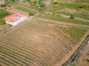 Casa chalet en Venta en Tacoronte Los Naranjeros
