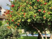 Casa chalet en Venta en Tomiño