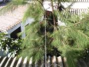 Casa chalet en Venta en Torre Cruz Los Molinos