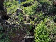 Casa chalet en Venta en Villaviciosa de Córdoba