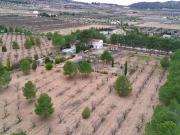 Casa chalet en Venta en Yecla