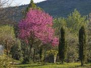 Casa chalet en Venta en Zafra