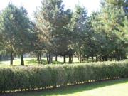 Casa Club de Golf los Encinos