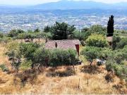Casa colonica con annessi e terreno in posizione...