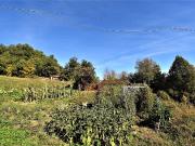 Casa colonica in vendita a Amandola, Campagna