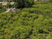 Casa colonica in vendita a Giarre