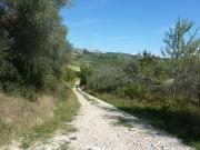 CASA COLONICA in vendita a Offida