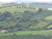 Casa colonica in vendita a Offida, Zone collinari