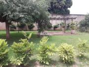 Casa com 1 Quarto s e 2 banheiro s para Alugar, 1823 mÂ²...