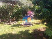 Casa com 2 dormitórios à venda, 120 m² por R$ 425.000,00...