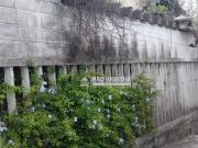 Casa com 2 dormitÃ³rios Ã venda, 240 mÂ² por R$...