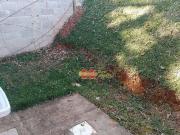 Casa com 2 dormitórios à venda, 45 m² por R$ 290.000,00...