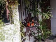 Casa com 2 dormitórios à venda, 55 m² por R$ 234.000,00...