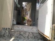 Casa com 2 quartos à venda, 120 m² por R$ 470.000 Vila...