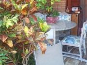 Casa com 2 quartos à venda em Parque Monte Alegre SP