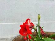 Casa com 3 dormitÃ³rios Ã venda, 190 mÂ² por R$...