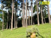 Casa com 3 dormitÃ³rios Ã venda, 296 mÂ² por R$...