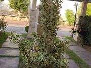 Casa com 3 dormitórios à venda, 100 m² por R$ 660.000,00...