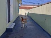 Casa com 3 dormitórios à venda, 130 m² por R$ 500.000,00...