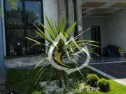 Casa com 3 dormitórios à venda, 139 m² por R$...