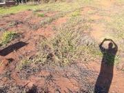 Casa com 3 dormitórios à venda, 140 m² por R$ 890.000,00...