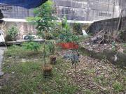 Casa com 3 dormitórios à venda, 147 m² por R$...