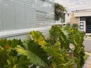 Casa com 3 dormitórios à venda, 195 m² por R$...