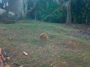 Casa com 3 dormitórios à venda, 200 m² por R$ 580.000,00...