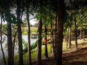 Casa com 3 dormitórios à venda, 220 m² por R$...