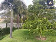 Casa com 3 dormitórios à venda, 255 m² por R$...