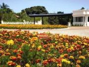 Casa com 3 dormitórios à venda, 258 m² por R$...