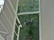 Casa com 3 dormitórios à venda, 300 m² por R$...