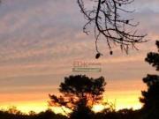 Casa com 3 dormitórios à venda, 333 m² por R$ 930.000,00...