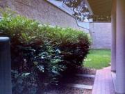 Casa com 3 dormitórios à venda, 424 m² por R$...